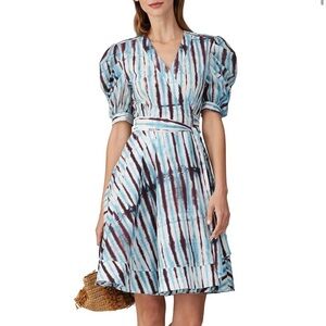 Diane von Furstenberg Printed Indra Dress